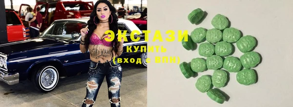 ECSTASY Ельня