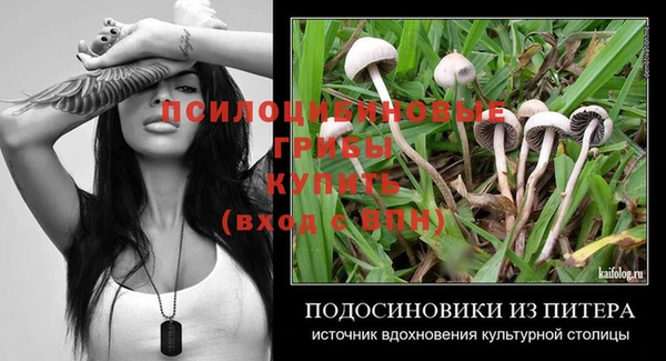 прущий лед Елабуга