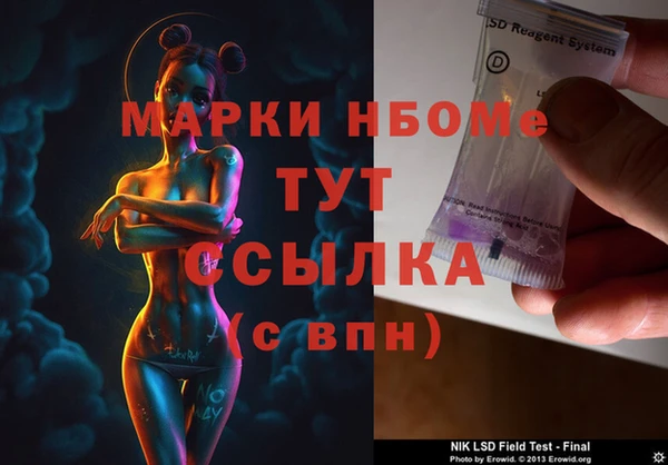 ECSTASY Ельня
