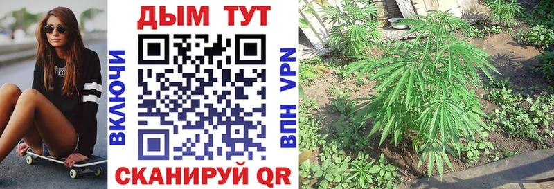 Купить где  Отрадное  Шишки марихуана тримм 